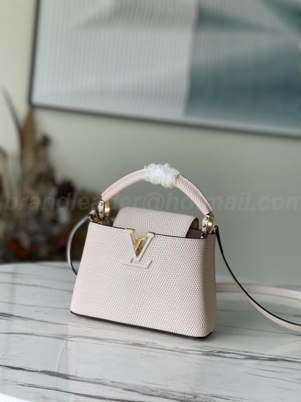 LV Handbags 14